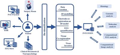 INTUITION: a data platform to integrate human epilepsy clinical care and support for discovery